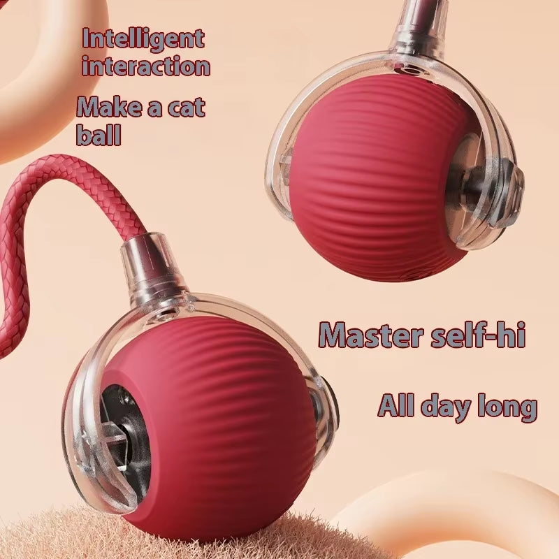 Smart Cat Toys Automatic Rolling Ball 