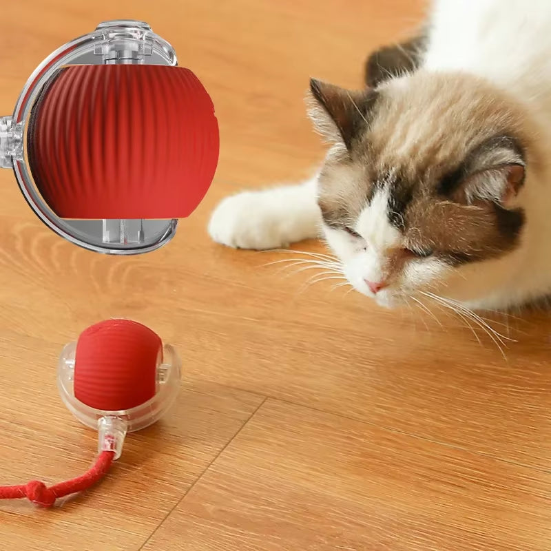 Smart Cat Toys Automatic Rolling Ball 
