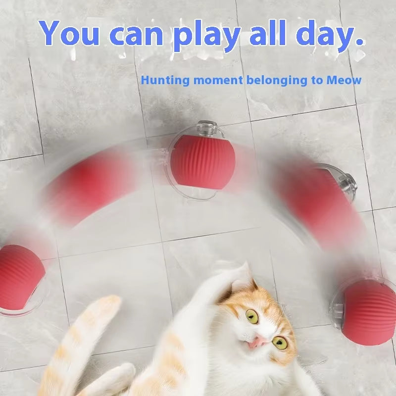 Smart Cat Toys Automatic Rolling Ball 