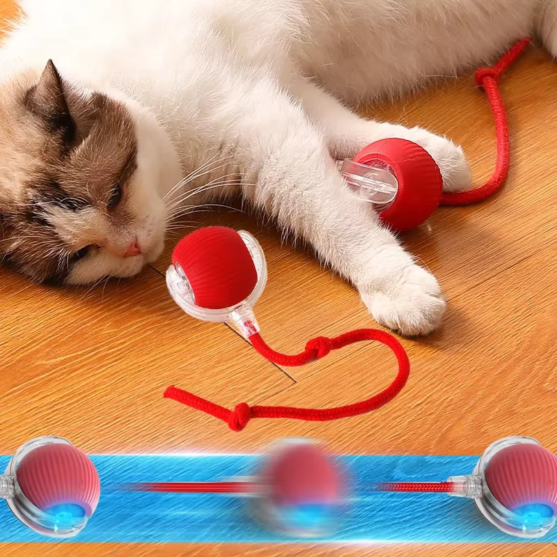Smart Cat Toys Automatic Rolling Ball 